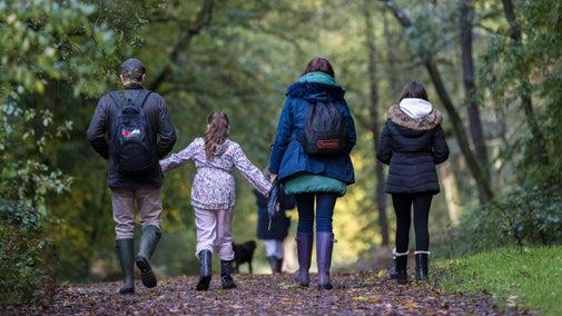Family and dog walking along a woodland path at Hatchlands Park